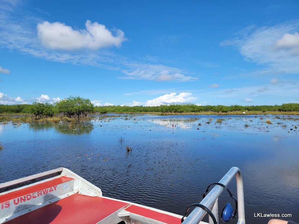 View of wetlands from airboat