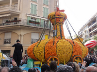 Lemon festival 2013