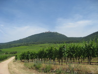 Chateau du Haut-Koenigsbourg from a distance
